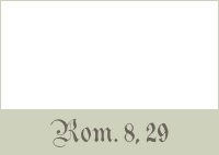 Rom.8,29